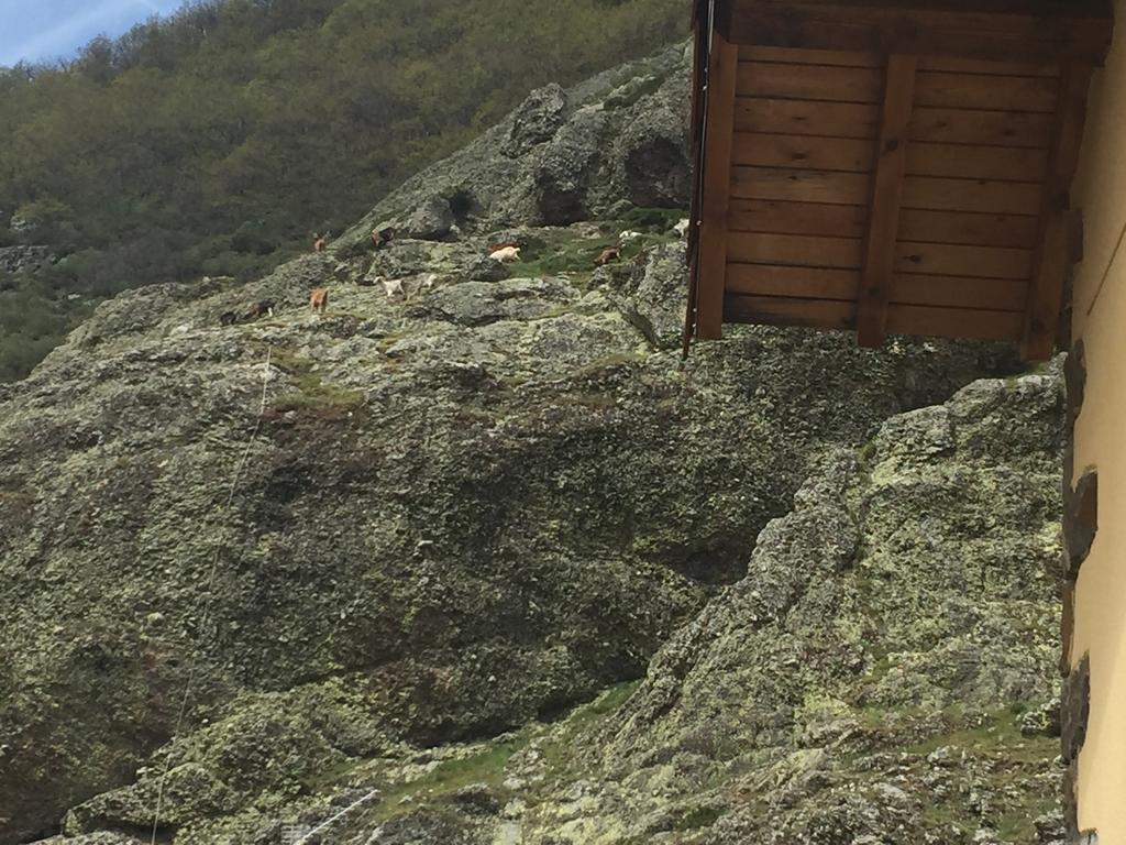El Invernal De Picos Portilla de la Reina Zewnętrze zdjęcie