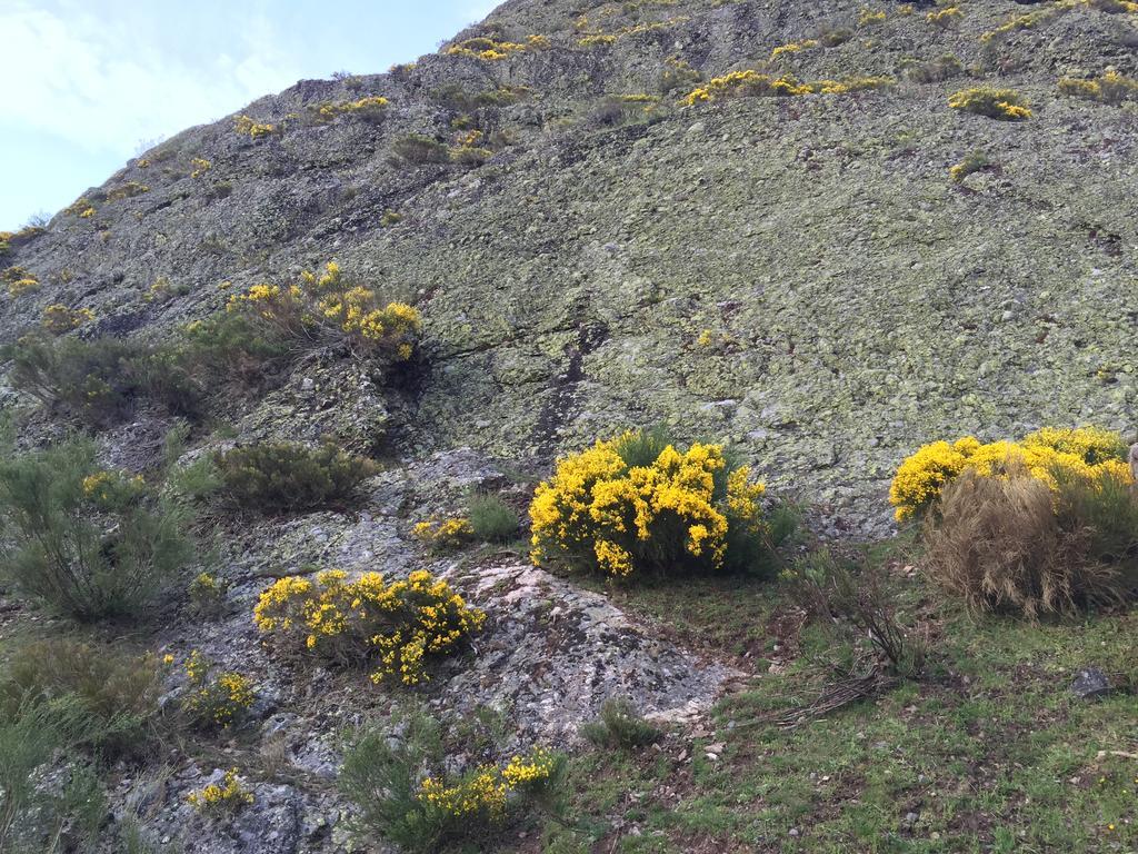 El Invernal De Picos Portilla de la Reina Zewnętrze zdjęcie